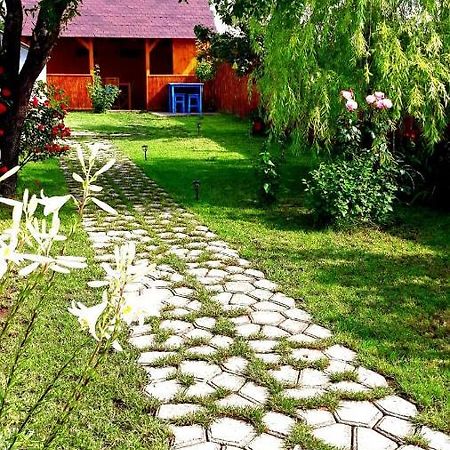 Casa Pavel Jurilovca Villa Екстериор снимка