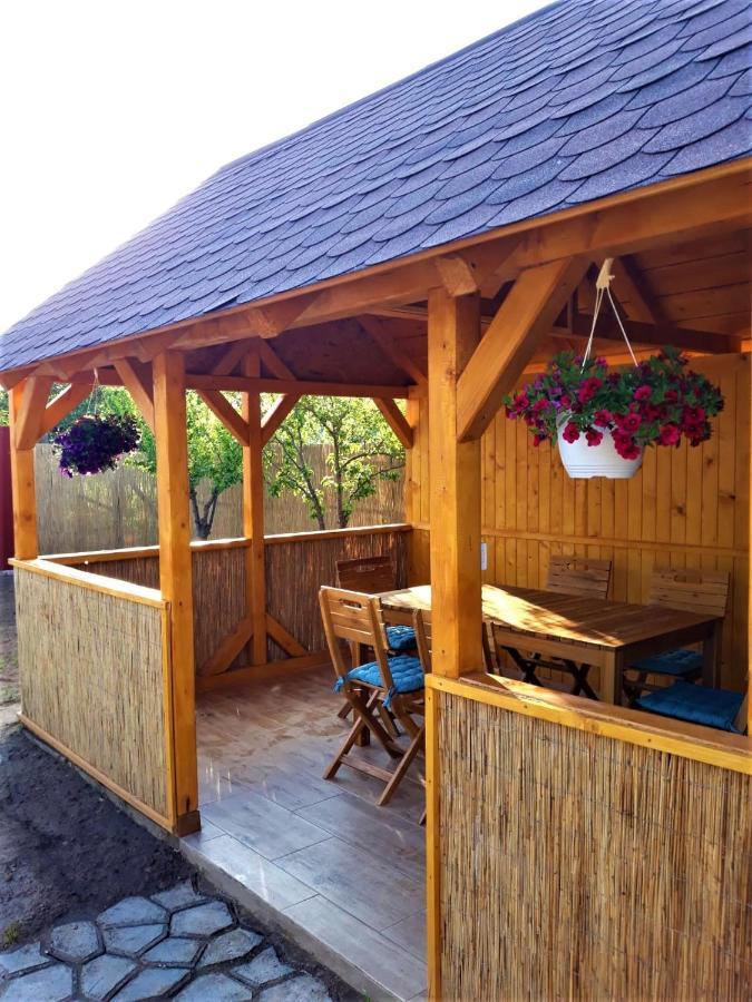Casa Pavel Jurilovca Villa Екстериор снимка