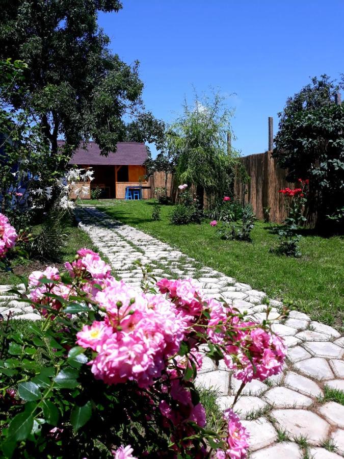 Casa Pavel Jurilovca Villa Екстериор снимка