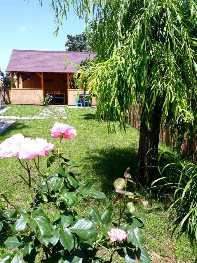 Casa Pavel Jurilovca Villa Екстериор снимка