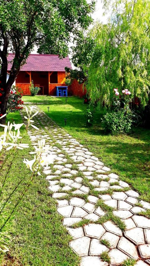 Casa Pavel Jurilovca Villa Екстериор снимка